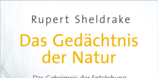 Von Feldern und Formen