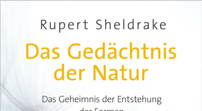 Von Feldern und Formen