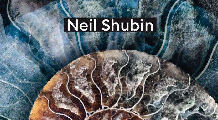 »Nichts beginnt zu der Zeit, zu der man es glaubt«