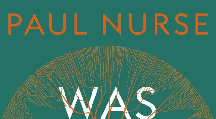 So »funktioniert« es nicht