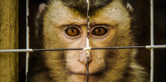 Eine Frage der Perspektive